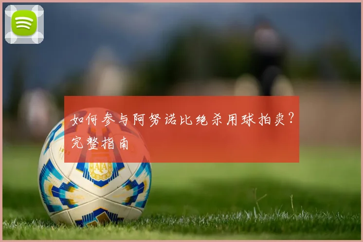 如何参与阿努诺比绝杀用球拍卖？完整指南
